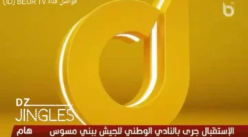 تابع مسلسلاتك المفضلة.. تردد قناة بور تيفي الجزائرية للاستمتاع بأحدث أعمال الأنمي 2026